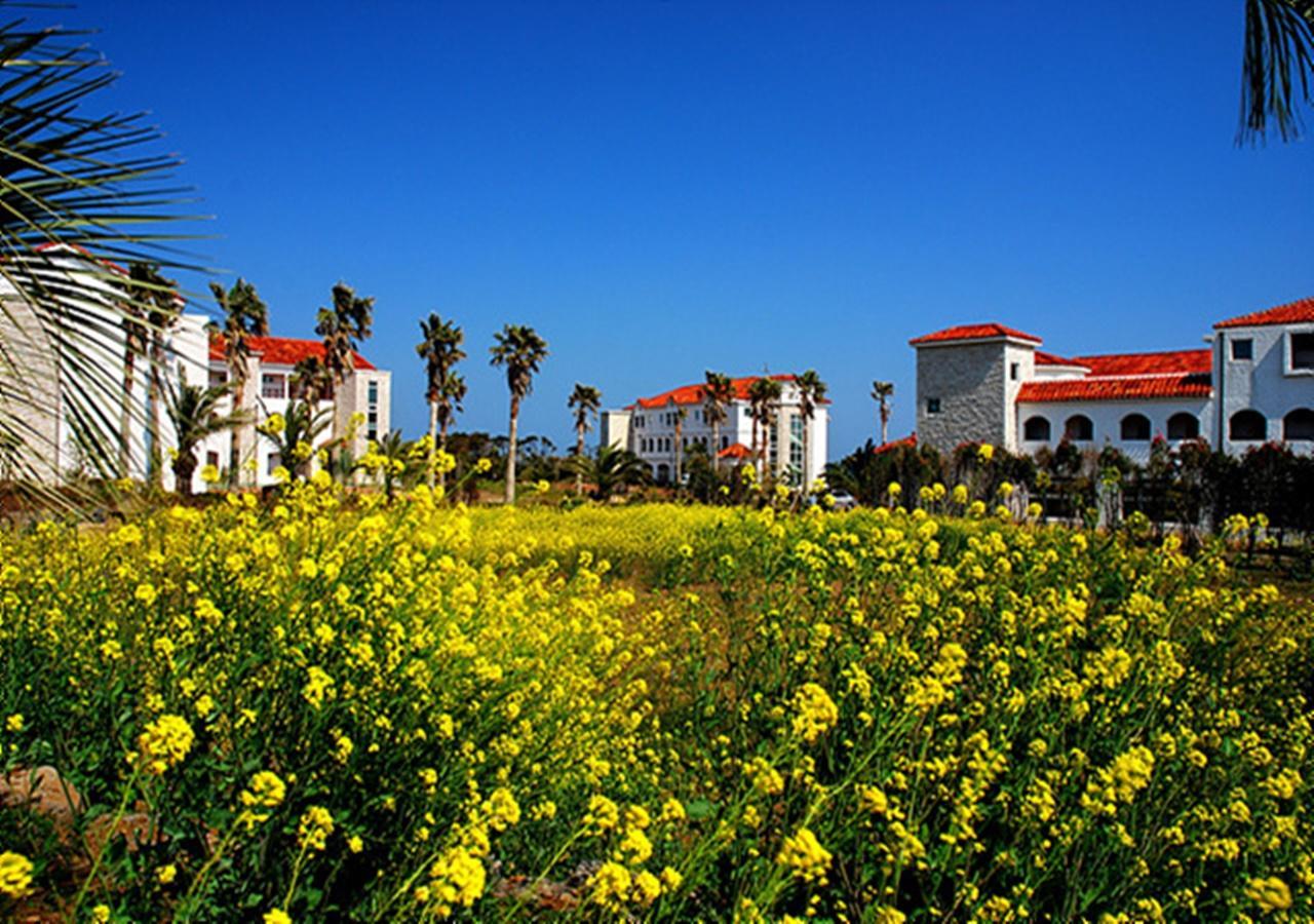 Lasania Resort Seogwipo Luaran gambar