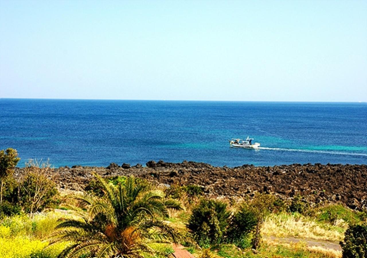 Lasania Resort Seogwipo Luaran gambar